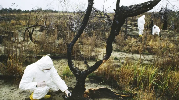 Serangan Drone Perburuk Kondisi Reaktor Chernobyl