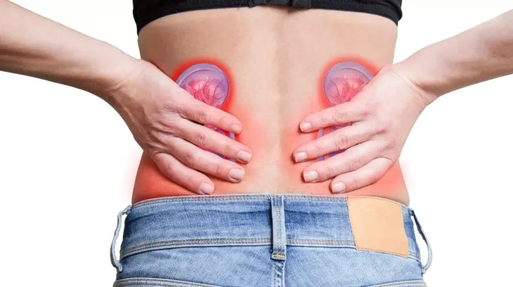 Lima Tips Sehat Menjaga Fungsi Ginjal Tetap Optimal