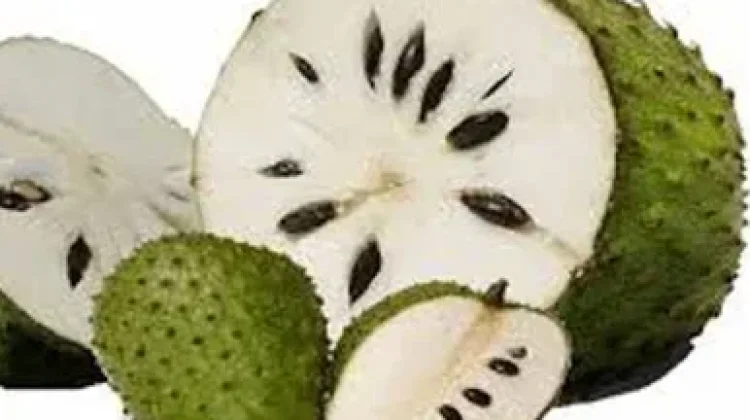 Manfaat Sirsak untuk Kanker, Ketahui Faktanya