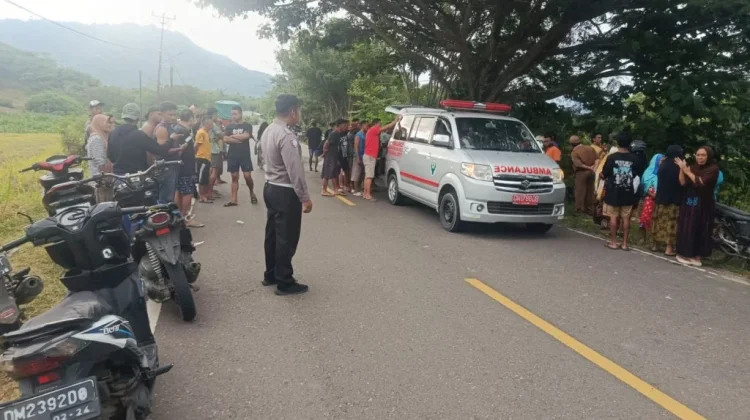 Diduga Sopir Mengantuk, Pickup Tabrak Pohon di Desa Wonggarasi Tengah