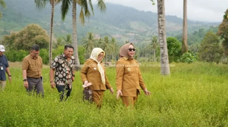 Gorut Dukung Hilirisasi Ayam Terintegrasi di Sumalata Timur