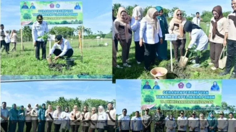 TP PKK Pohuwato Gaungkan Gerakan Perempuan Tanam Pohon