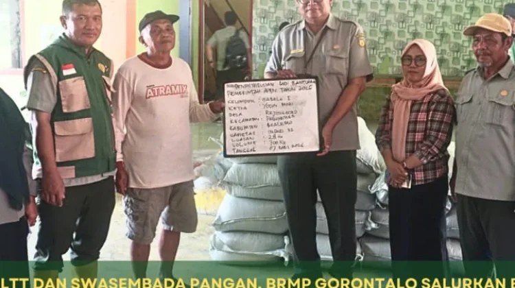 BRMP Gorontalo Dukung LTT lewat Penanaman Padi di Boalemo