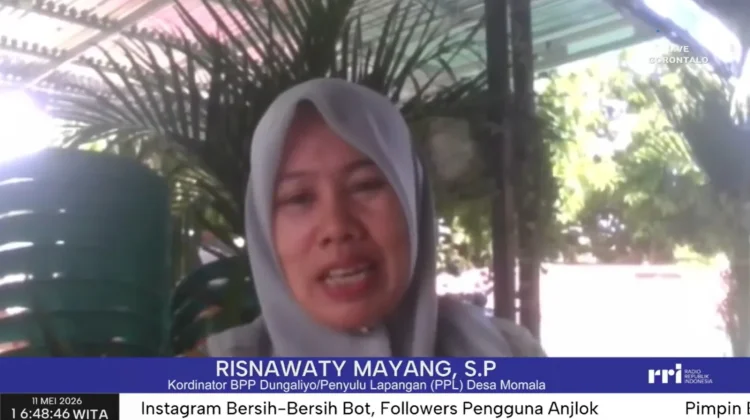 Petani Dungaliyo Dukung Swasembada Pangan