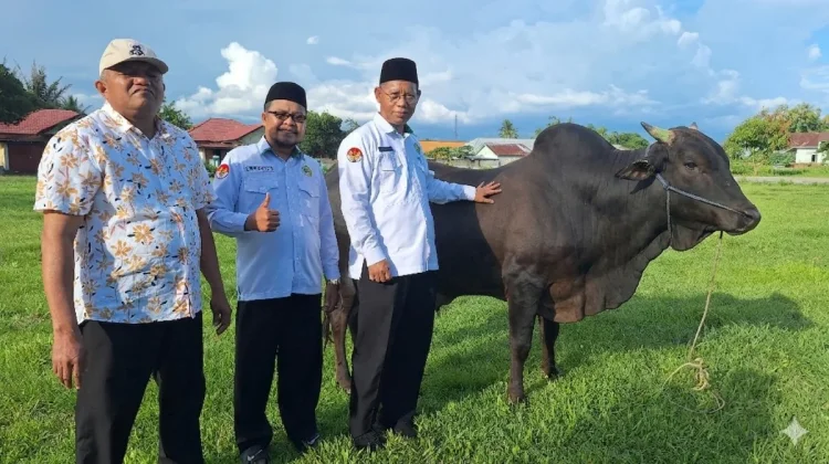 Kanwil Kemenag Gorontalo Matangkan Persiapan Kurban Idul Adha 1447 H