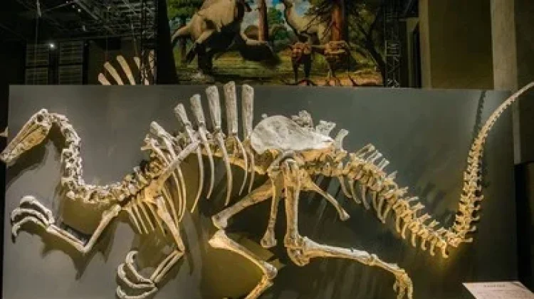 Thailand Temukan Dinosaurus Raksasa Baru