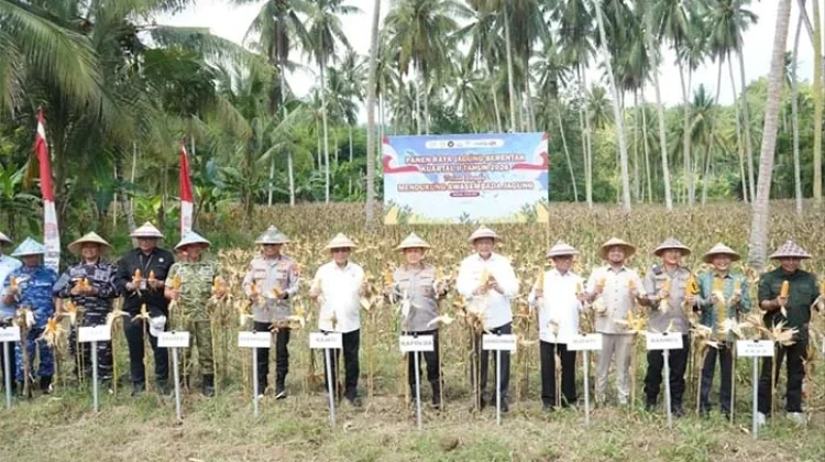Ketua Komisi IV Hadiri Panen Raya Jagung Serentak Kuartal II