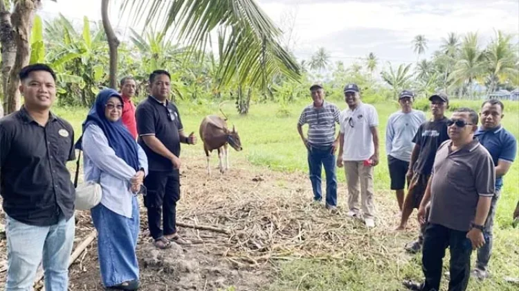 Iduladha 1447H, Setwan Gorontalo Siapkan Penyembelihan 10 Sapi