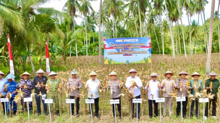 Kapolda Gorontalo Pimpin Panen Raya Jagung Serentak