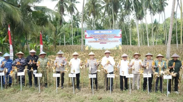 Deprov Gorontalo Apresiasi Panen Raya Jagung dan Program Swasembada Pangan