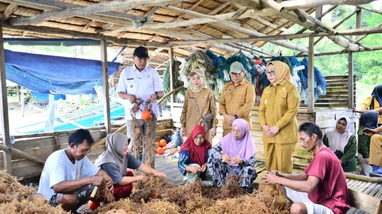 Gubernur Gorontalo Usul Sentra Rumput Laut Ilodulunga Dibangun KNMP