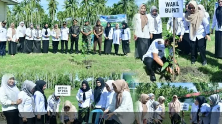 Gerakan Tanam Pohon Digelar di Wanggarasi