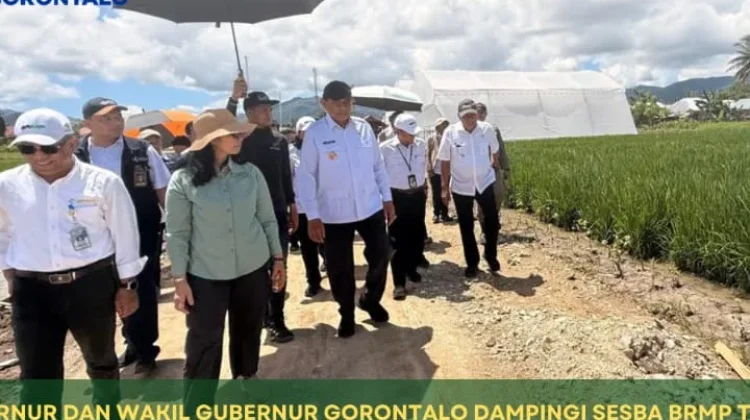 Gubernur Tinjau Kesiapan Geltek PENAS XVII