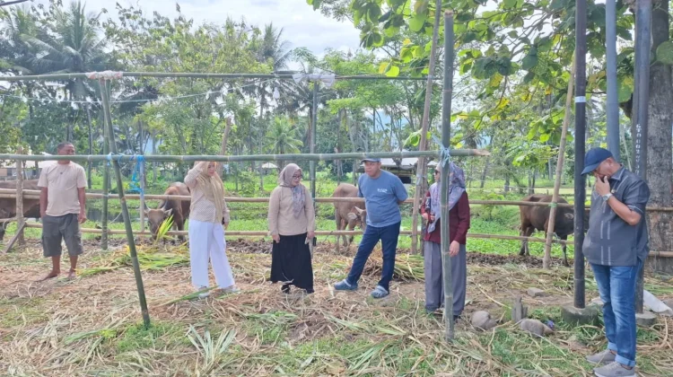 Komisi II Monitoring Hewan Kurban di Bone Bolango