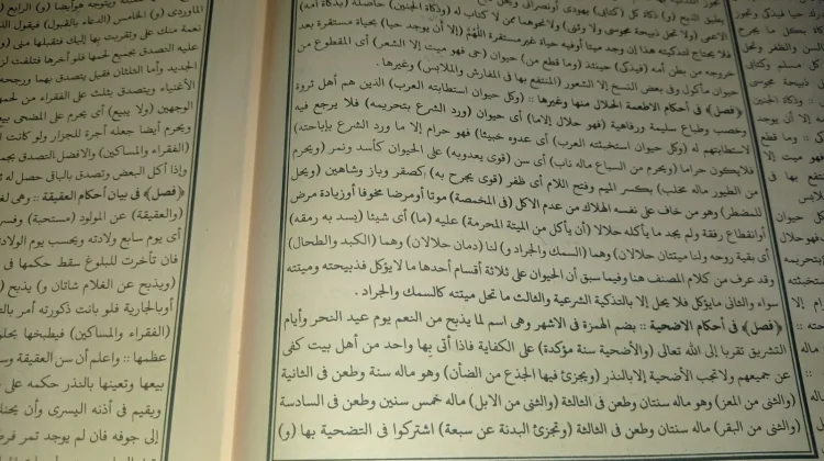 Syarat Hewan yang Tidak Boleh Dikurbankan dalam Kitab Fathul Qarib