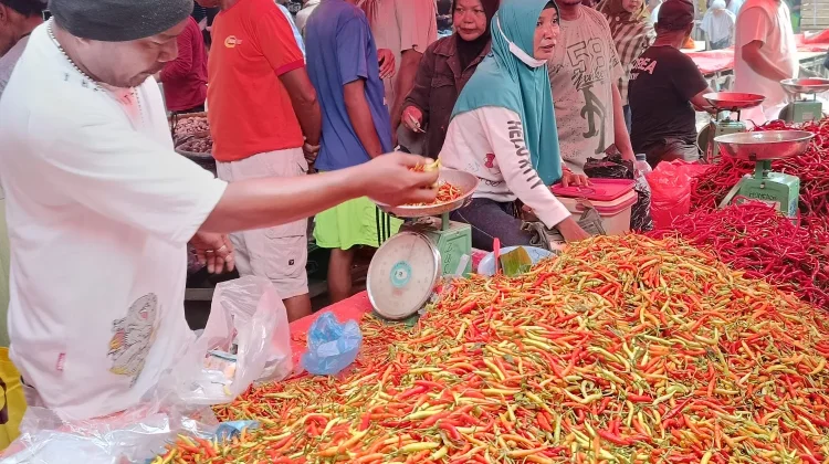 Update Harga Barito di Pasar Telaga