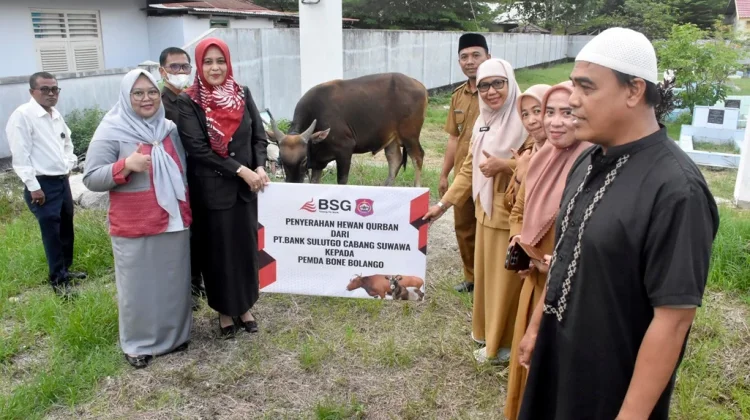 Bank SulutGo Salurkan Sapi Kurban untuk Masjid Agung Suwawa