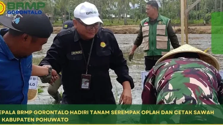 Cetak Sawah Rakyat di Pohuwato Capai 867 Hektare