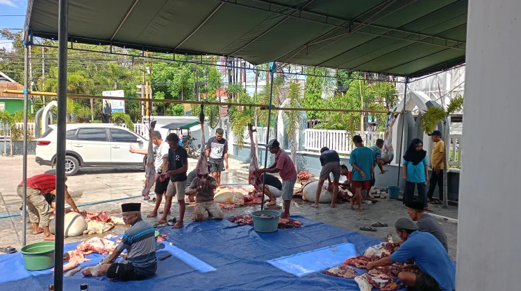 Iduladha 1447 Hijriah, Masjid Nurul Jannah Sembelih Tiga Sapi Kurban