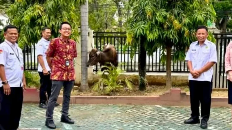 Kemenag Kabgor Terima Bantuan Satu Ekor Sapi Kurban dari BRI