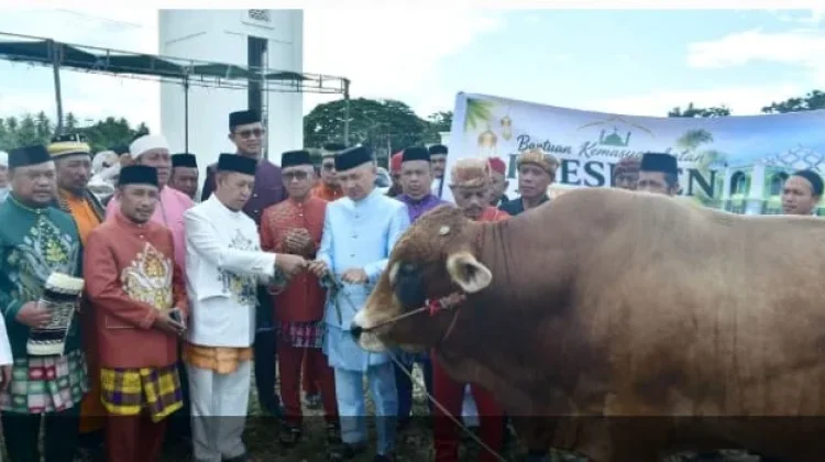 Masjid Agung Baiturrahim Pohuwato Terima Sapi Kurban dari Presiden