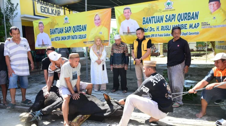 Penyembelihan 24 Ekor Sapi dan Distribusi Daging Disaksikan Wagub Gorontalo