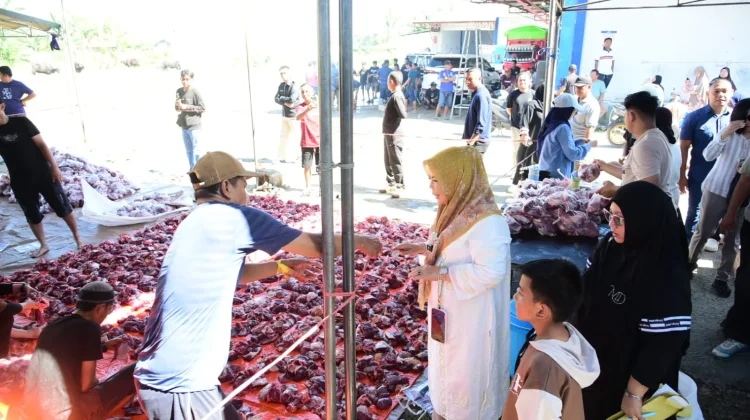 Wagub Apresiasi Penyembelihan 101 Ekor Sapi Kurban di Gorontalo