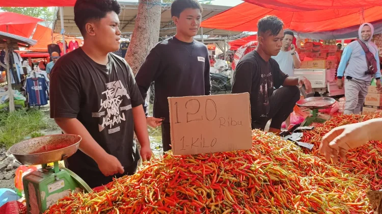 Update Harga Pasar: Cabai Rawit Tembus Rp120 Ribu per Kilogram