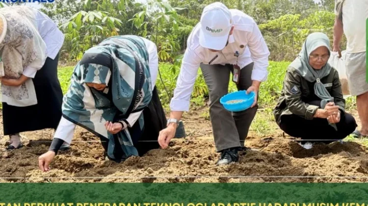 Kementan Perkuat Teknologi Pertanian Hadapi Musim Kemarau