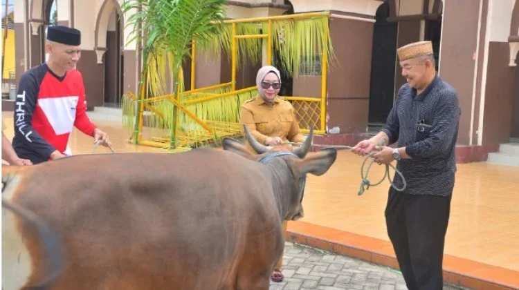 Wabup Gorontalo Utara Serahkan Bantuan Sapi Kurban Iduladha