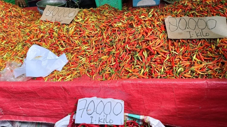 Harga Rica di Pasar Turun Signifikan