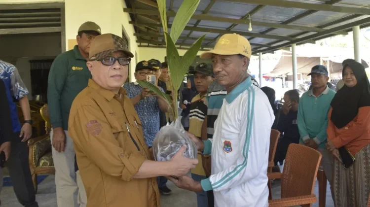Ratusan Ribu Bibit Kelapa Bantuan Kementan RI Mulai Disalurkan di Kabgor