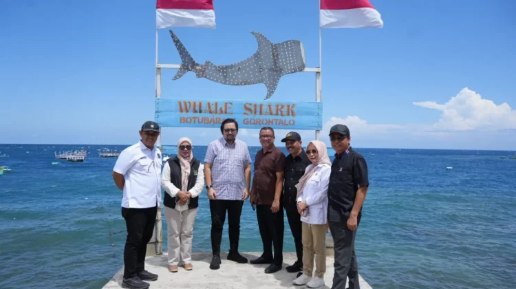 Pansus DPRD Gorontalo Tinjau Potensi Retribusi Wisata Hiu Paus Botubarani