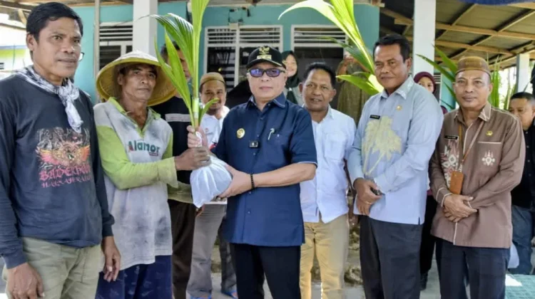 Pemerintah Salurkan 2.300 Bibit Kelapa di Pulubala