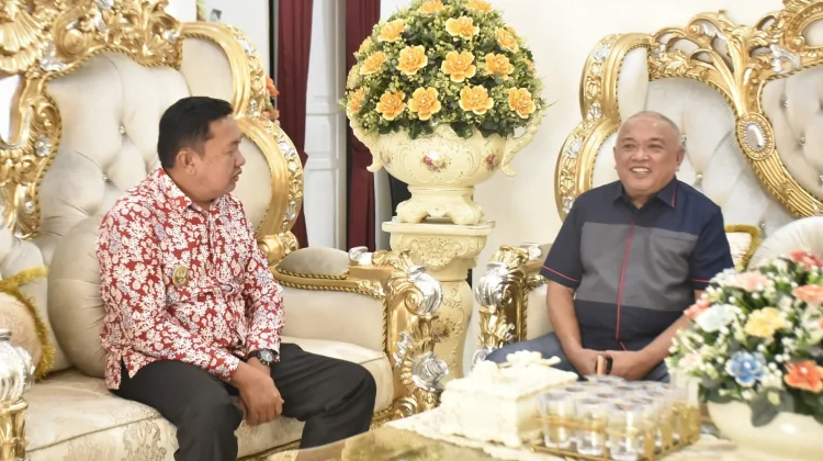 Wabup Gorontalo-Minahasa Tenggara Bahas Berbagai Isu dan Potensi Kerja Sama