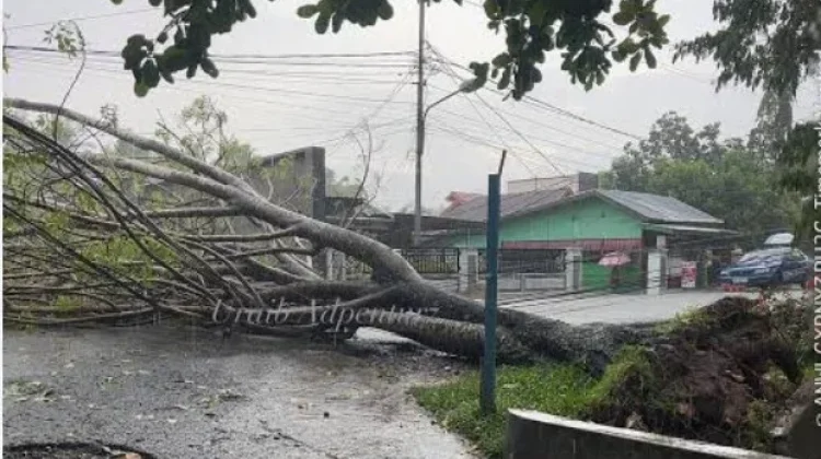 BPBD Kota Gorontalo Minta Warga Waspadai Cuaca Ekstrem