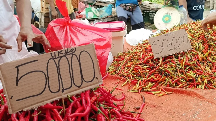Harga Cabai Rawit Tembus Rp100 Ribu per Kilogram di Pasar Andalas