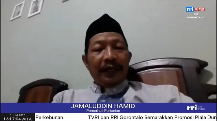 Umbi Lokal Perkuat Ketahanan Pangan