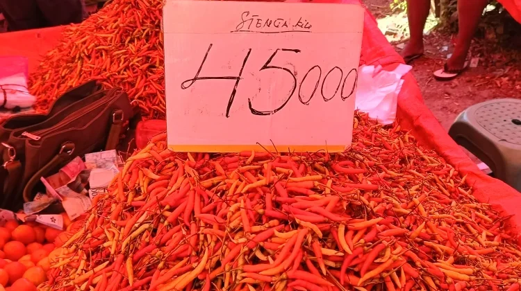 Update Harga Pasar Andalas Kota Gorontalo 10 Juni 2026