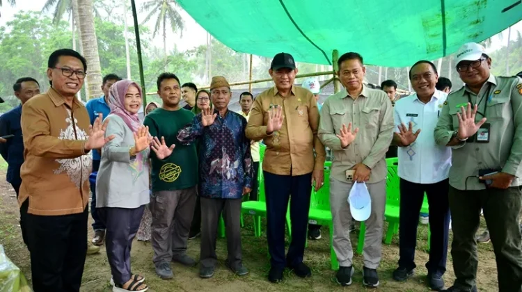 Kementan Salurkan 737 Ribu Bibit Program Hilirisasi Kelapa di Gorontalo