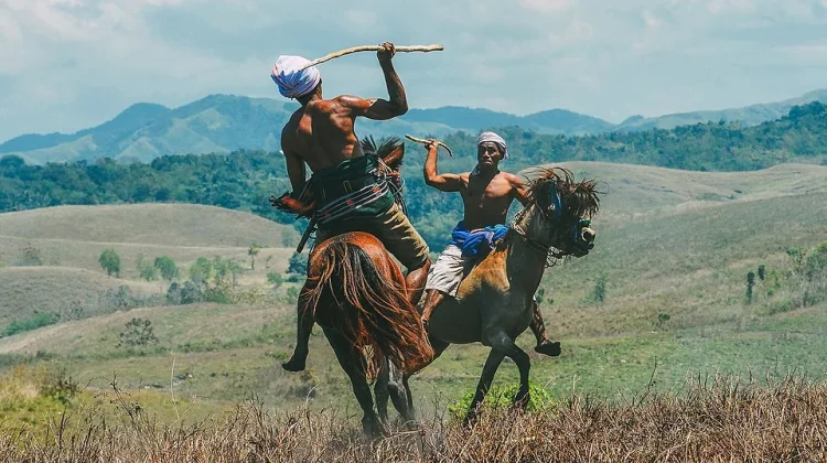 Mengenal Pasola Tradisi Unik Masyarakat Sumba yang Mendunia