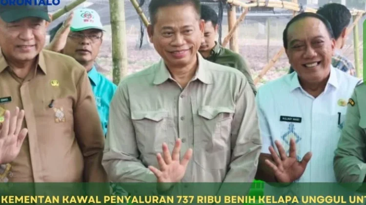 Kementan Siapkan 737 Ribu Benih Kelapa untuk Gorontalo