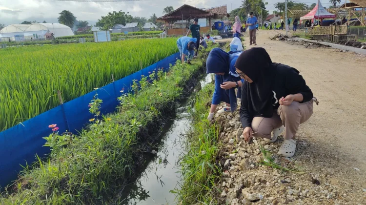 DKPTPH Gorontalo Kerja Bakti Siapkan Lokasi Gelar Teknologi PENAS XVII