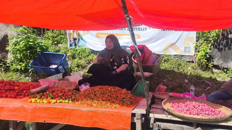 Harga Cabai Rawit Tembus Rp120 Ribu per Kilogram di Pasar Potanga