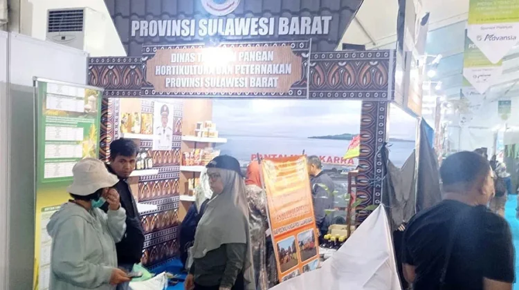 Stand Sulawesi Barat Mulai Bersolek Jelang Pembukaan PENAS XVII