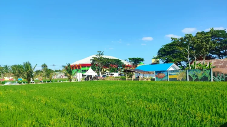 Penyuluh Pertanian Gorontalo Siap Dampingi Peserta PENAS XVII
