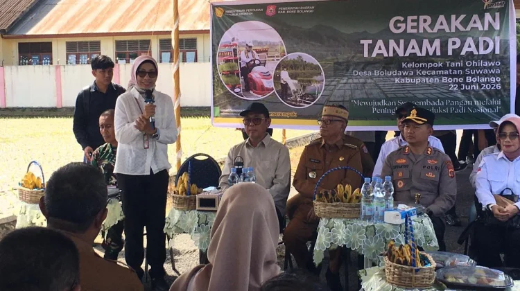 LTT Capai 99 Persen, Bone Bolango Tuai Pujian Kementan