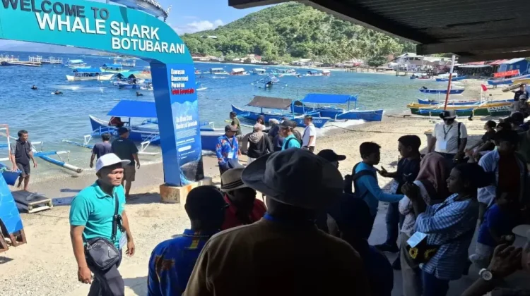 Wisata Hiu Paus DIserbu Ribuan Peserta PENAS XVII