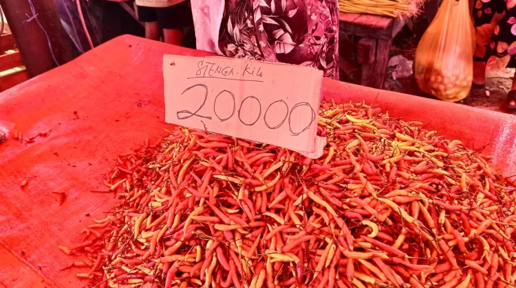 Pantauan Harga Pasar Andalas: Tomat Naik, Rica Turun