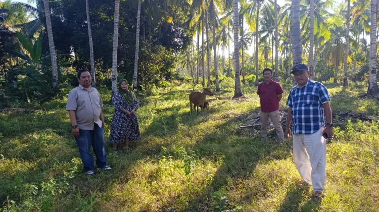 Mikson Yapanto Tinjau Perkembangan Bantuan Sapi di Omayuwa